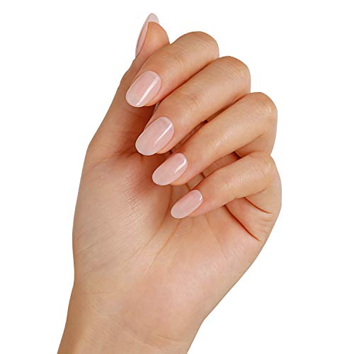 Bluesky Gel Nail Polish Starter Kit -